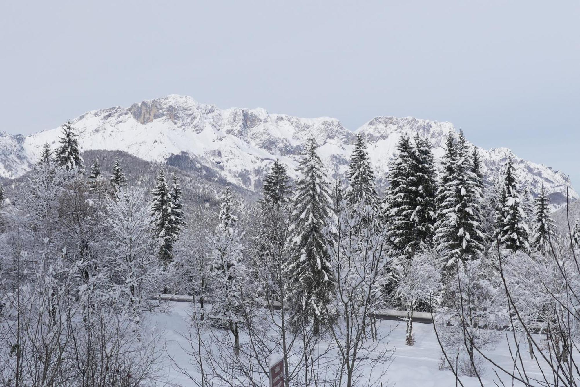 Ferienwohnungen Haus Kunterbunt Berchtesgaden Zewnętrze zdjęcie